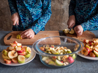 Two funny teenage boys cut apples for processing in electric dryer