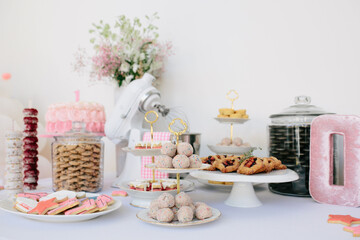 Dessert spread at girl's birthday party with cookies, cake with pink frosting and flowers