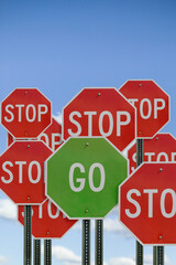 Obraz premium A lone green 