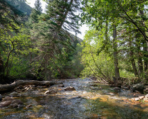 The Jarbidge River flows through the wildnerness near Upper Bluster Campground  south of the...