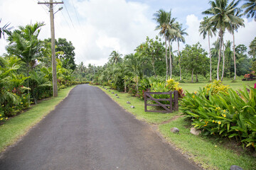 Open wooden gate next to empty road crossing tropical gardens, Samoa