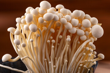 Enoki mushroom, Golden needle mushroom group of golden needle Mushroom.Enoki, also known as velvet shank, is a species of edible mushroom in the family Physalacriaceae.