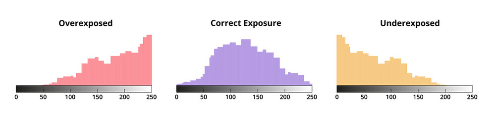 Vector set of photo histograms isolated on white background. Correct exposure, underexposure, and overexposure distinguished by colors. Histogram graph or chart. Raster image, photo contrast problems.