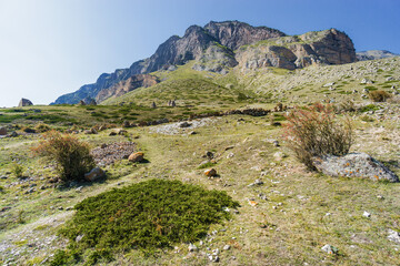 Fototapeta na wymiar Sunny view of mountains and Eltyulbyu village in North Caucasus, Kabardino-Balkaria, Russia.