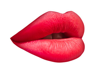 Open mouth close-up. Art lips, sexy plump lip. Isolated on white.