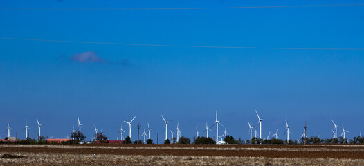 Windmills in field