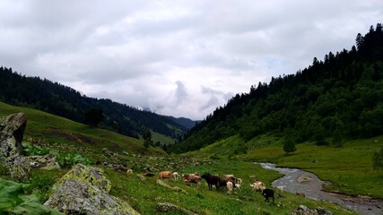 Obraz premium landscape in the mountains