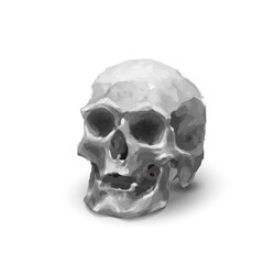 Ancient realistic human skull in black and white tone on white