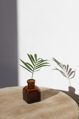 Interior decoration.A palm branch in a miniature vase made of brown glass with beautiful shadows of sunlight on the white wall.Minimal, stylish, trendy concept.copy space