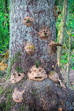 fairy faces made of clay on a tree in the forest