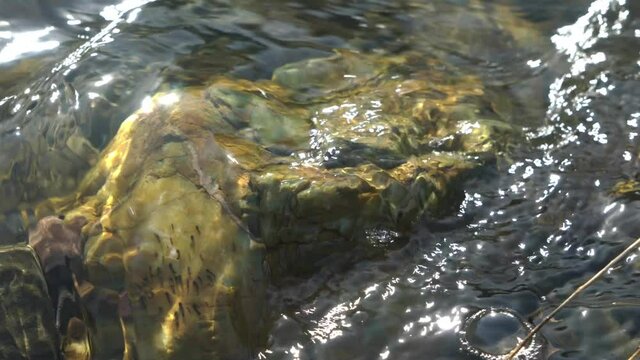 Water running over rock at Parsons Creek