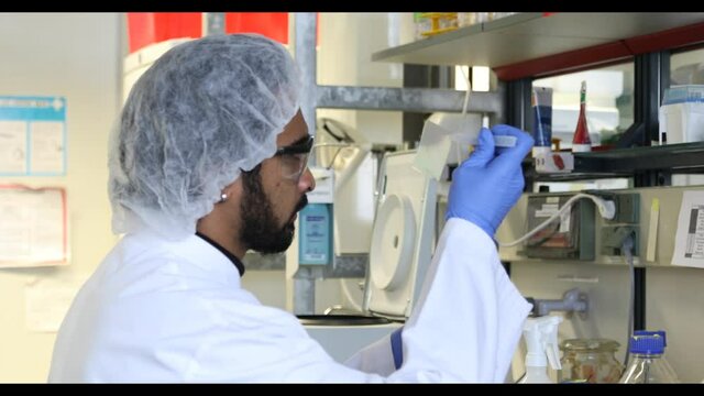 scientist looking to a samplen a laboratory