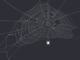 A spider with a web is White, on a dark background. Vector illustration.