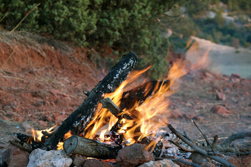 Image of orange flames of a camp fire with burning oak tree woods surrounded by stones in the forest camping site