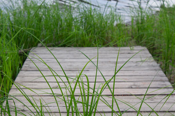 A wooden bridge in the green grass, in the background of the river