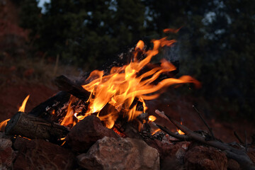 Image of orange flames of a camp fire with burning oak tree woods surrounded by stones in the forest camping site