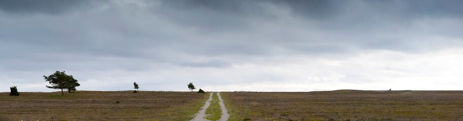 Dirt road in open grass landscape under cloudy sky, Panorama