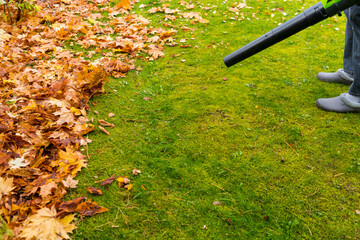 An electric cordless air blower blows yellow maple leaves off the lawn