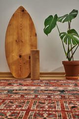 Wooden balance board, a cork roll and a monstera plant standing on a carpet in a living room. Equipment for home gymnastics.