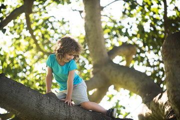 Naklejka premium Kids climbing. Child boy climbs up the tree in park. Outdoor fun for kids in country side.