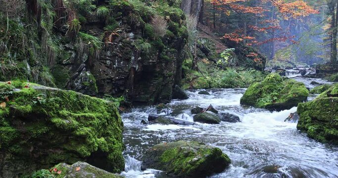 small wild river Doubrava in Czech Republic Valley in beautiful autumn with fall colors. Picturesque moving footage landscape.