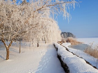 Snow-covered ground and trees covered with hoarfrost on the bank of an icy river