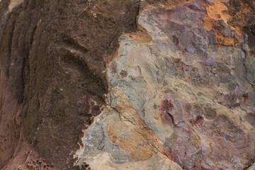 Close-up brown stone texture, background
