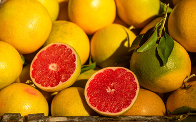 Cut red grapefruit on bunch of fresh grapefruits.