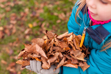 Child playing with fallen leaves in autumn. Child with autumn leaves.
Kind spielt mit Laub im...