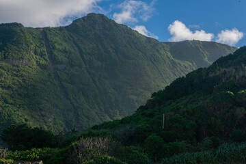 Flores Island.... The explosion in nature making different contrasts with the blue sky