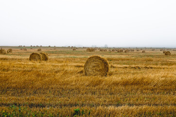 Fototapeta premium Misty morning and bales of straw on a meadow in the countryside