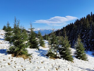 Snow covered mountains - winter landscape in the mountains