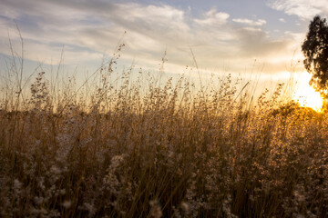 Fototapeta premium Dramatic sunset and sunrise over mountain morning