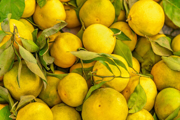 Organic market fresh tangerine background. Close up on a farmers market fresh tangerines.