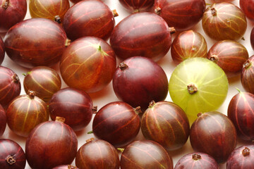 Close up of gooseberrys on white background