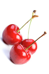 Studio shot of cherries on white background