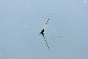 floating in the water of a lake