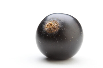 Close up of black currants
