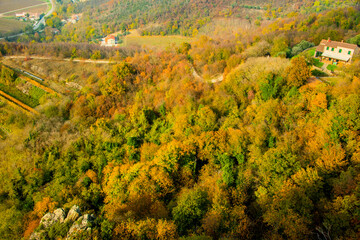 autumn woods in the Euganean hills