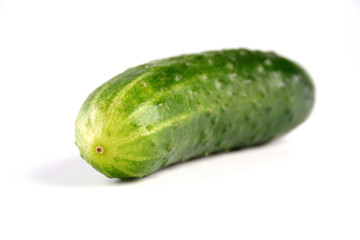 Cucumber