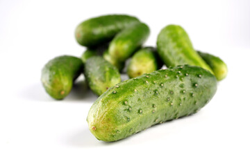 Cucumber