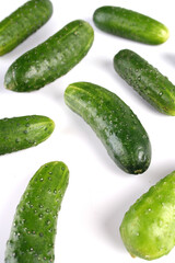 Cucumber