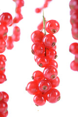 Redcurrants
