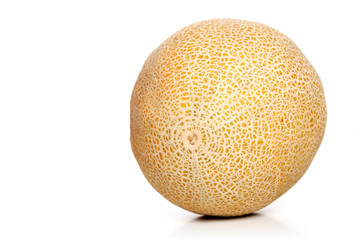 Melon