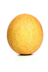 Melon