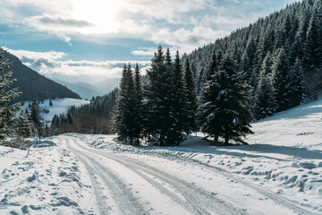 Winter snowy landscape view of a countryroad leading through spruce mountain forest in Slovakian Low Tatry mountains.