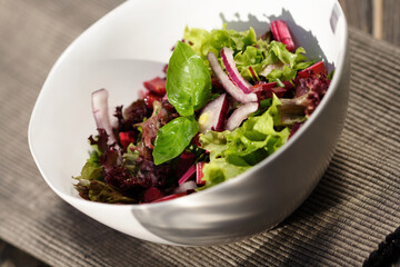 Studio shot of spring salad
