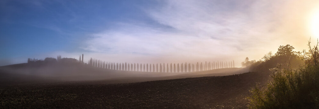 The alley of cypress trees on the covered with mist meadows and fields shooted in the early foggy morning at Tuscany region, Italy. Wide-angle beautiful view shot