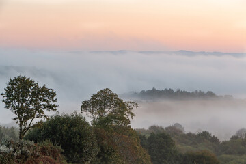 Countryside under the fog at sunrise in Brittany