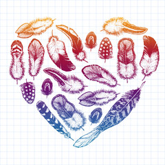 Set of ethnic feathers. Decoration design. Birds feathers, boho chic style. Tribal ornament pattern.